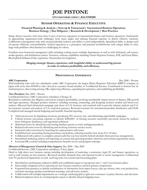 executive cv template resume account executive sample resume examples