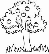 Coloring Fall Tree Pages Clipart Trees Clip sketch template