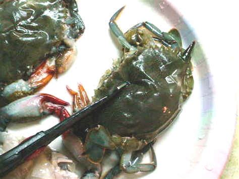 soft shell crab jughandles fat farm