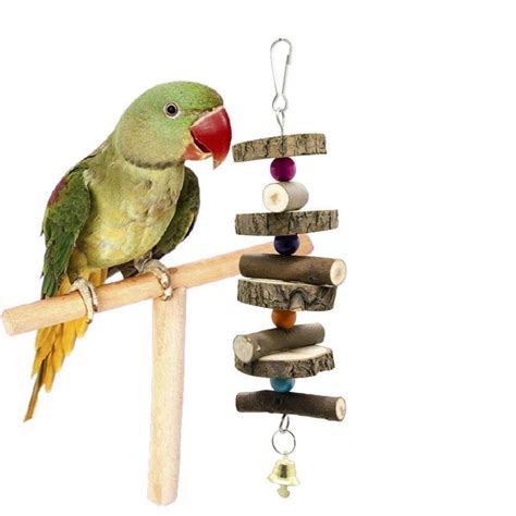 list  dangerous parrot accessories  shouldnt    bird tent birds