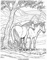 Horse Coloring Pages Horses Pasture Colouring Choose Board Color sketch template