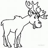 Coloring Elk sketch template