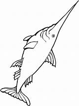 Swordfish Coloring Pages Fish sketch template