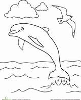 Dolphins Worksheets Ausmalen Sheets Delphine Ausmalbilder Soaring Schablonen Mosaik Bunte Bastelei Applikation Schultüte Vorlagen Sommer sketch template