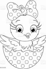 17qq Chick sketch template