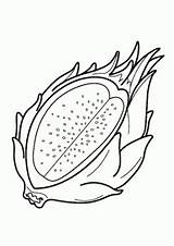 Fruit Pitaya sketch template