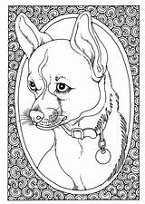 Colorare Hond Retrato Ritratto Portret Hundeportrait Malvorlage Printen Chihuahua Schoolplaten Puppy Colouring Educolor Große Edupics Grote sketch template