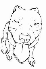 Coloring Pitbull Staffordshire sketch template