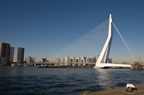 bridges    world erasmusbrug rotterdam holland