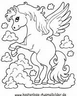 Ausmalbilder Pferd Pegasus Pferde Ausmalen Kostenlose Tiere Malvorlagen Dein Auszudrucken Klicke sketch template