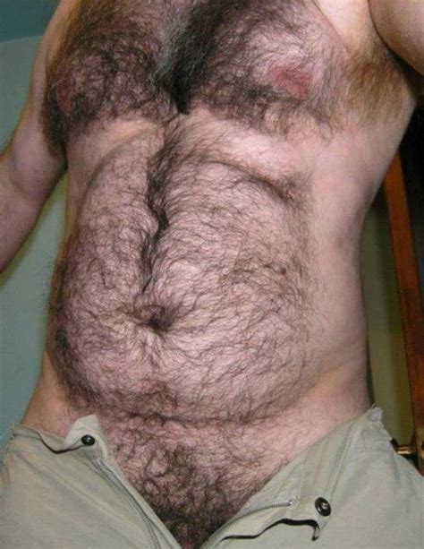 daddy bear chest and trails in 2019 hairy men chubby men hairy chest