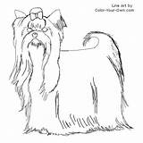 Yorkshire Yorkie Lhasa Apso Teacup sketch template