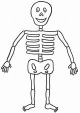 Skeleton Coloring Kids Printable Pages Halloween Simple Human Template Crafts Print Sheet Body Esqueleto Color Humano Easy Colouring Bones Sheets sketch template