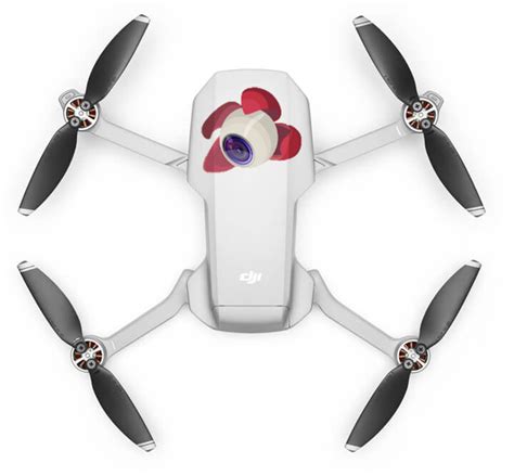 lapp litchi est disponible pour dji mavic mini helicomicro