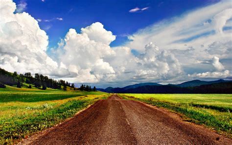 spring country road trees rice paddy field blue sky