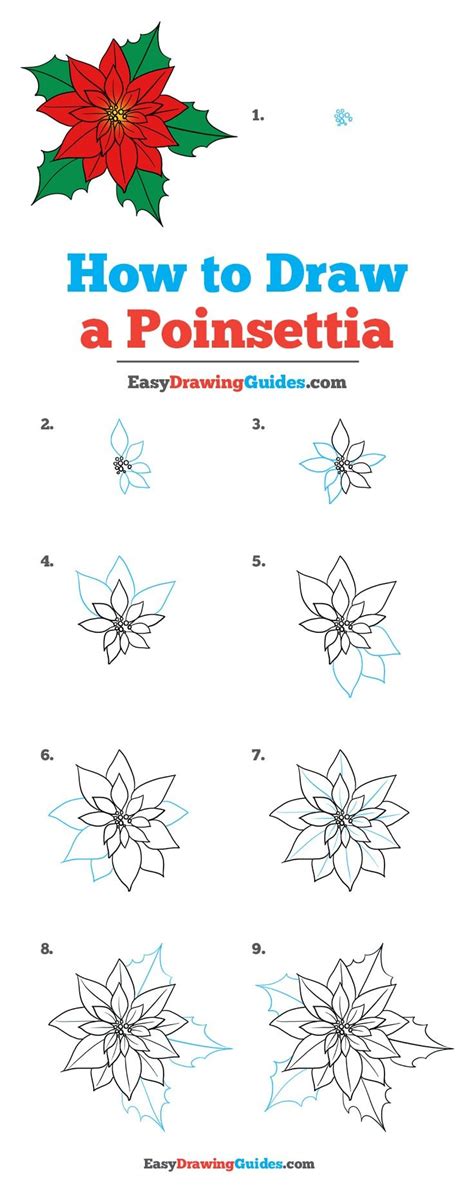 draw  poinsettia  easy drawing tutorial