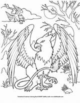 Coloring Pages Griffin Mystical Creatures Baby Printable Dragon Mythical Color Deviantart Kids Unicorn Animal Adult Mermaid Coloriage Book Print Animaux sketch template