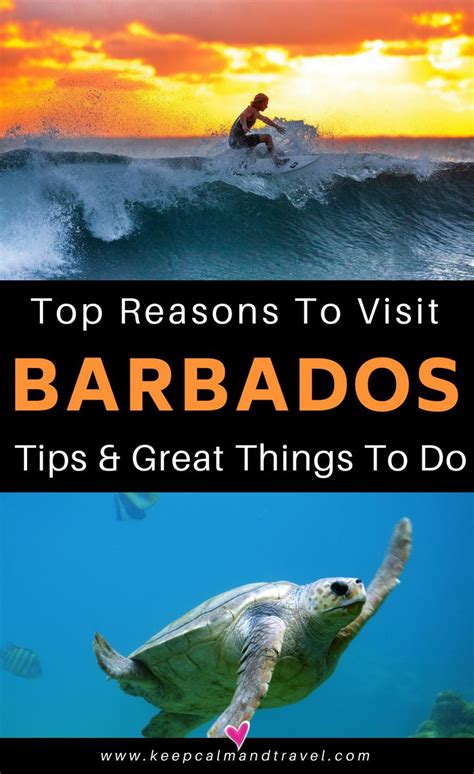 things to do in barbados a travel guide with local tips barbados