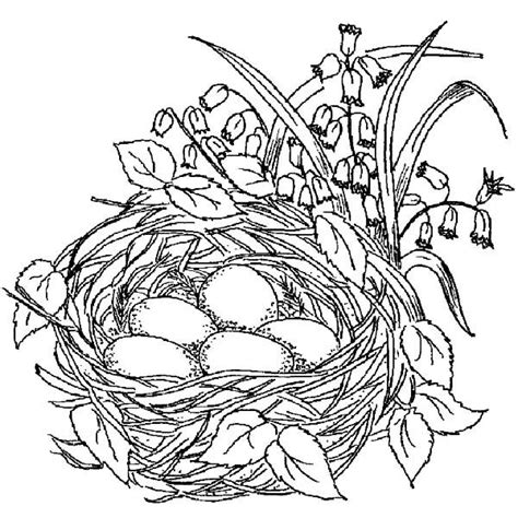 effortfulg bird nest coloring pages
