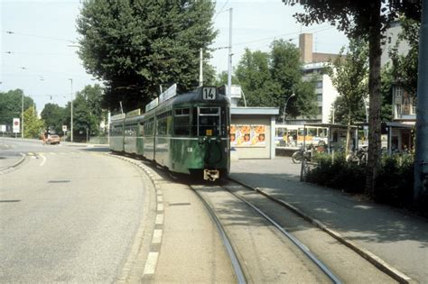 basel bvb tram     kleinhueningen wiesendamm im juli
