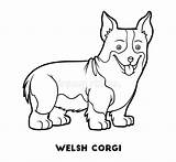 Corgi Coloring Dog Book Welsh Breeds Preview sketch template