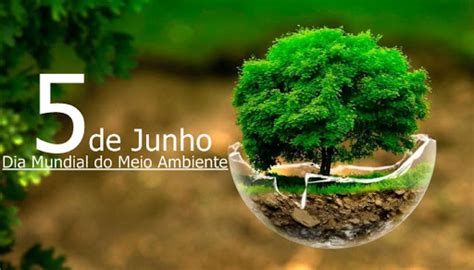 Dia Mundial Do Meio Ambiente é Celebrado Neste 05 De Junho