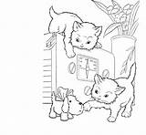 Coloring Pages Baby Cat Animal Cute Cats Komentar Diposting Oleh Admin Di Popular sketch template