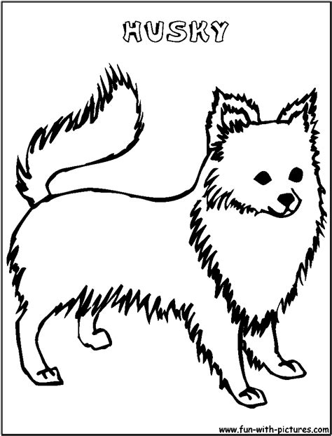 baby husky coloring coloring pages