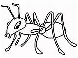 Hormigas Animales sketch template