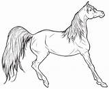 Horse Realistic Coloring Pages sketch template