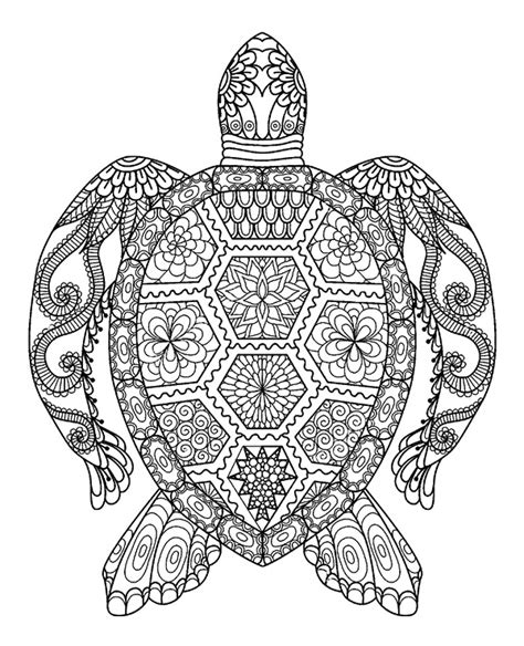 turtle tortoise  printable coloring page  adults