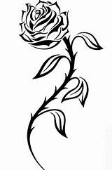 Rose Designs Tattoo Tribal Stencil Clipart Drawing Tattoos Stencils Drawings Radium Silhouette Flower Vinyl Bowers Steven Roses Animal Rosen Choose sketch template