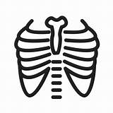 Ribs Lungs Iconfinder Examination sketch template