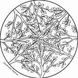 Coloring Pages Cyanus Centaurea Mandala Trees Kids sketch template