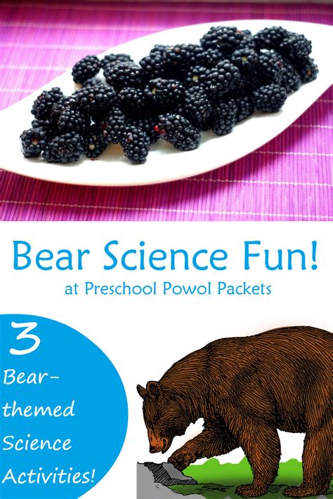 bear theme science experiments  activities  preschoolers