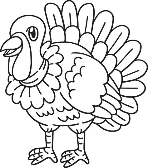 turkey coloring page isolated  kids  vector art  vecteezy