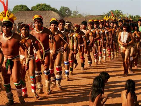 indios brasileiros