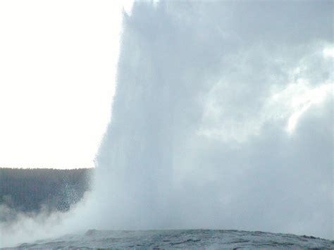 yellowstone national park wy old faithful photo picture image
