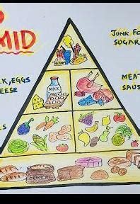 draw  food pyramidexplain    balanced dietwrite