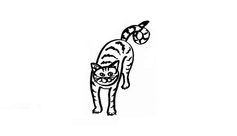 felrobban nyilvanossag tolmacs macska rajz gyerekeknek auckland