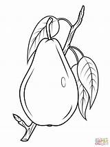 Kleurplaten Pear sketch template