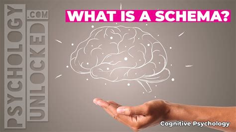 schema cognitive developmental psychology youtube
