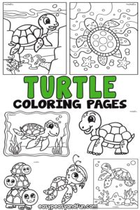 turtle coloring pages  printable sheets easy peasy  fun