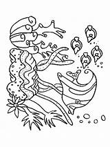 Seaweed Seetang Kelp Mycoloring Colouring sketch template
