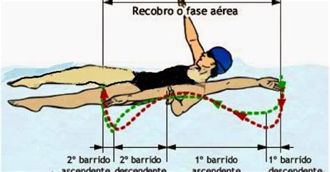 Muevete2 Técnica Natación A Espalda