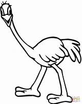 Emu Ostrich Avestruz Kids Dibujar Australien Colorir Ausmalbilder Struisvogel Avestruces Easy Tiernos Pintarcolorir sketch template