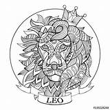 Leo Zodiac Coloring Pages Sign Adults Signs Horoscope Astrology Adult Lion Mandalas Printable Sheets Book Drawing Fotolia Vector Books Color sketch template