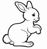 Rabbit Coloring Template Templates Shape Colouring Pages Sample sketch template