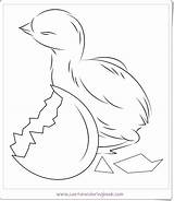 Coloring Chicken Flapping Wings Printable Pages sketch template