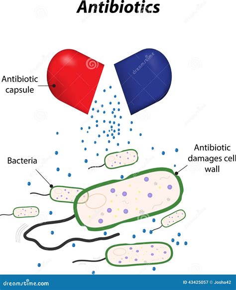 antibiotics royalty  stock photo cartoondealercom